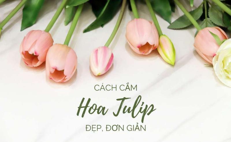 Hướng dẫn cắt gốc hoa đúng cách, giúp hoa tặng mẹ 20/10 tươi lâu hơn